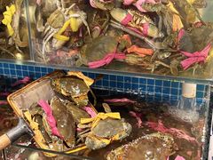 -辣螃铠盆盆蟹大排档(总店)