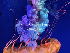 -海合安青岛极地海洋公园