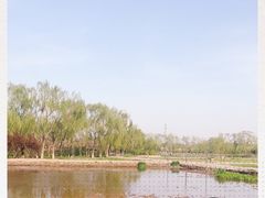 -大兴滨河森林公园