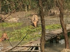 iphone_upload_pic-溱湖国家湿地公园