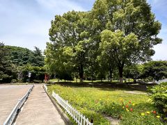 -杭州电子科技大学(下沙校区)