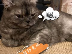 -元氏钵仔糕(北京路店)