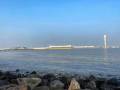 -上海吴淞炮台湾国家湿地公园