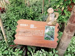 -南宫五洲植物乐园