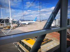 -厦门高崎国际机场-T3航站楼