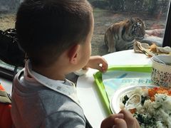-上海野生动物园老虎餐厅