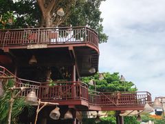 -卷心菜和避孕套餐厅(Pattaya)