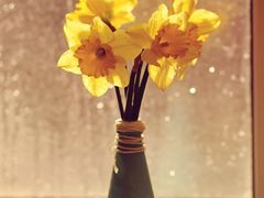 -华夏良子·足道SPA艾灸(铁道大厦店)