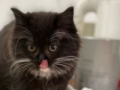 -M Stand(君尚1F店)