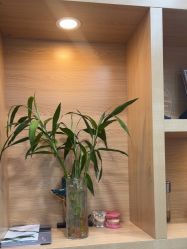 -广州曙光医学美容医院