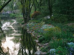 -上海共青森林公园