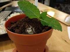 盆栽冰淇淋-雷门拉面·现熬骨汤(凯德来福士店)