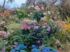 -人民公园(罗湖区)