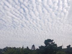 -玉佛苑
