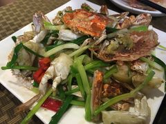 -肥信潮菜(科新路店)