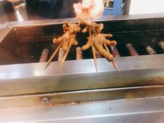 -苗小坛酸汤鱼(酒仙桥店)