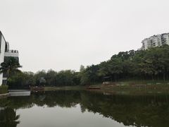 -深圳国际园林花卉博览园