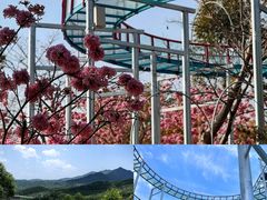 -盈香心动乐园