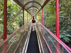 -七仙岭温泉国家森林公园