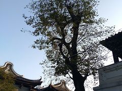 -粤剧艺术博物馆