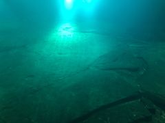 -白鹤梁水下博物馆