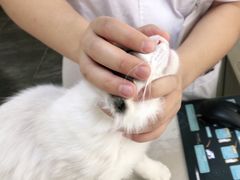 -宠颐生宠物医院(·宠保定点·鹰潭分院)