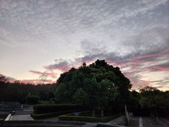 -上海吴淞炮台湾国家湿地公园