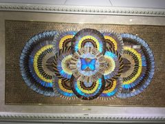 -上海昆虫博物馆