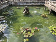 -上海醉白池公园