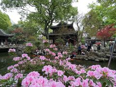 -豫园