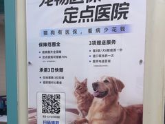 -北京观赏动物医院·24小时大型综合·猫专科·异宠专科
