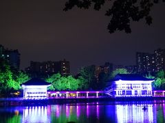 -荔湾湖公园