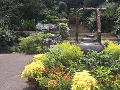 -中国茶叶博物馆(双峰馆区)