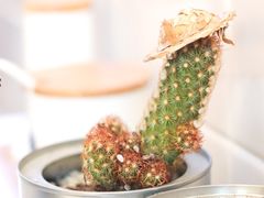 -嗨皮儿·现蒸面皮(抄纸巷店)