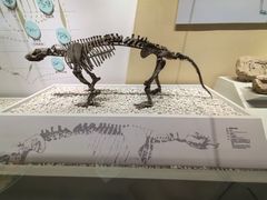 -国家自然博物馆