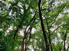 -杭州花家山庄