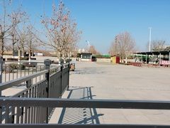 -卤阳湖国家湿地公园