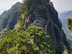 -内乡宝天曼生态旅游区