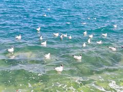 -青海湖二郎剑景区