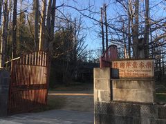 -腾冲国萍农家乐