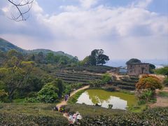 -东莞市大岭山森林公园