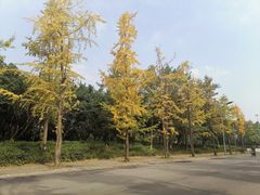 -府河摄影公园