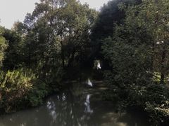 -同里国家湿地公园