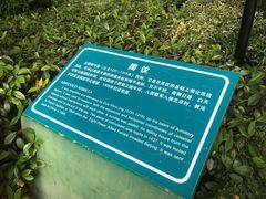 -紫金山天文台