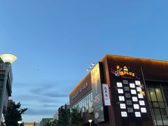 -chicken plus韩国炸鸡(城阳店)