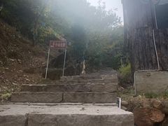 -遵化市禅林寺古银杏风景园