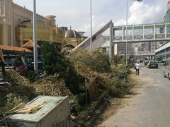-澳门十六浦索菲特大酒店