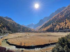 -稻城亚丁景区-冲古草甸