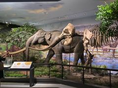 -湖南省地质博物馆