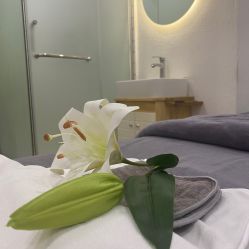 点击看大图 -薇薇安花系SPA
